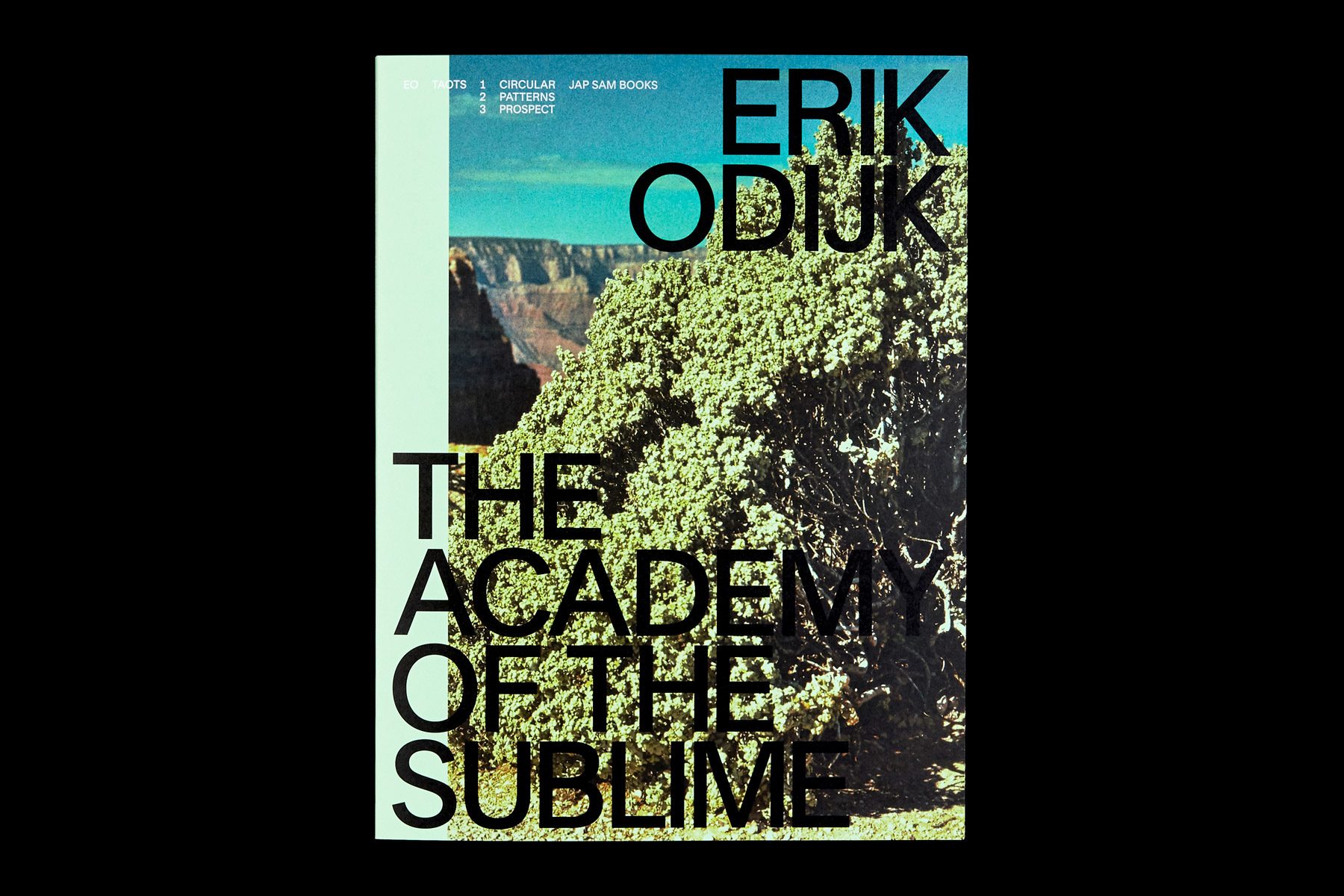 Erik-Odijk_The-Academy-of-the-Sublime_2020_Dimitri-Jeannottat_1800x1200_2c